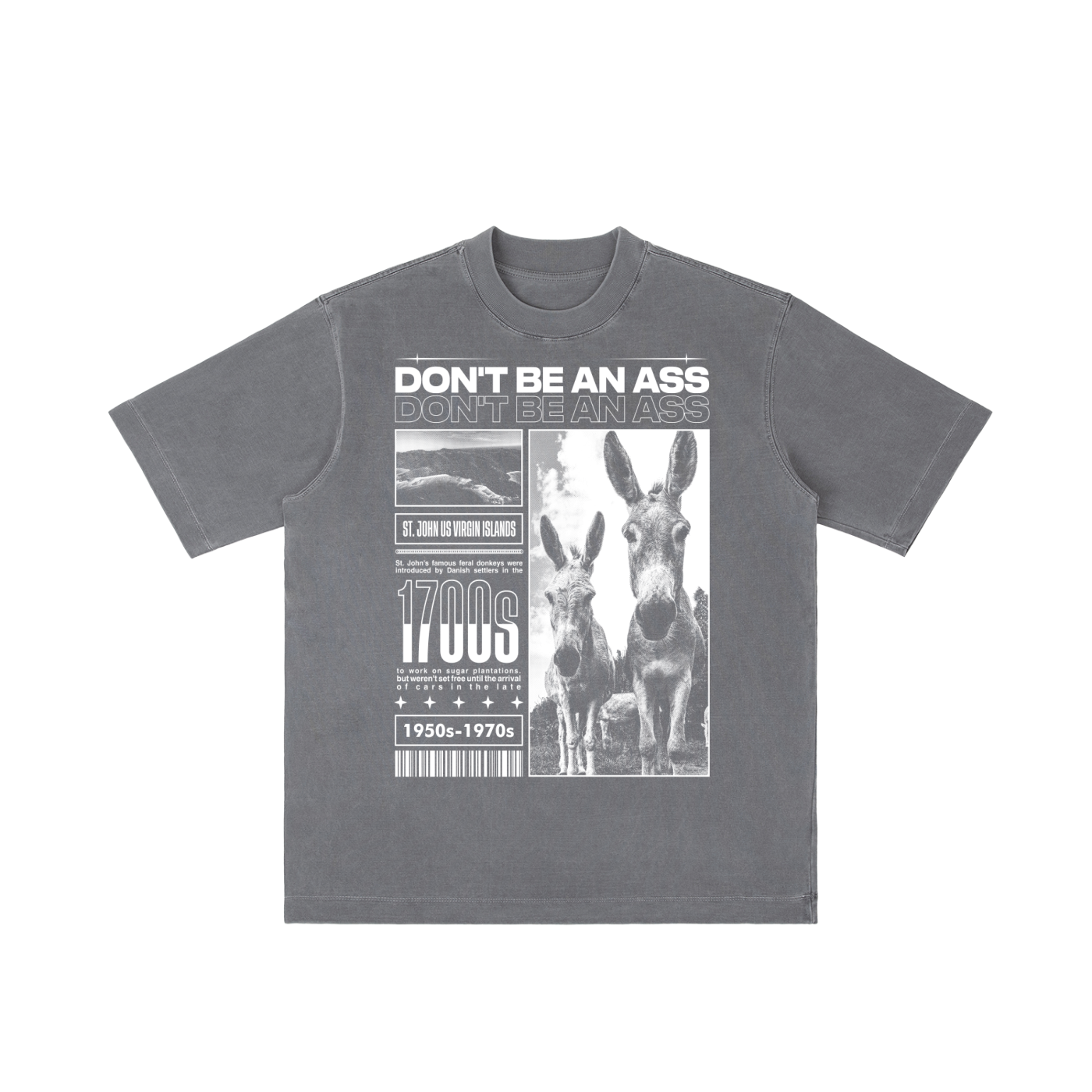 DON'T BE AN ASS (Oversized Tee)