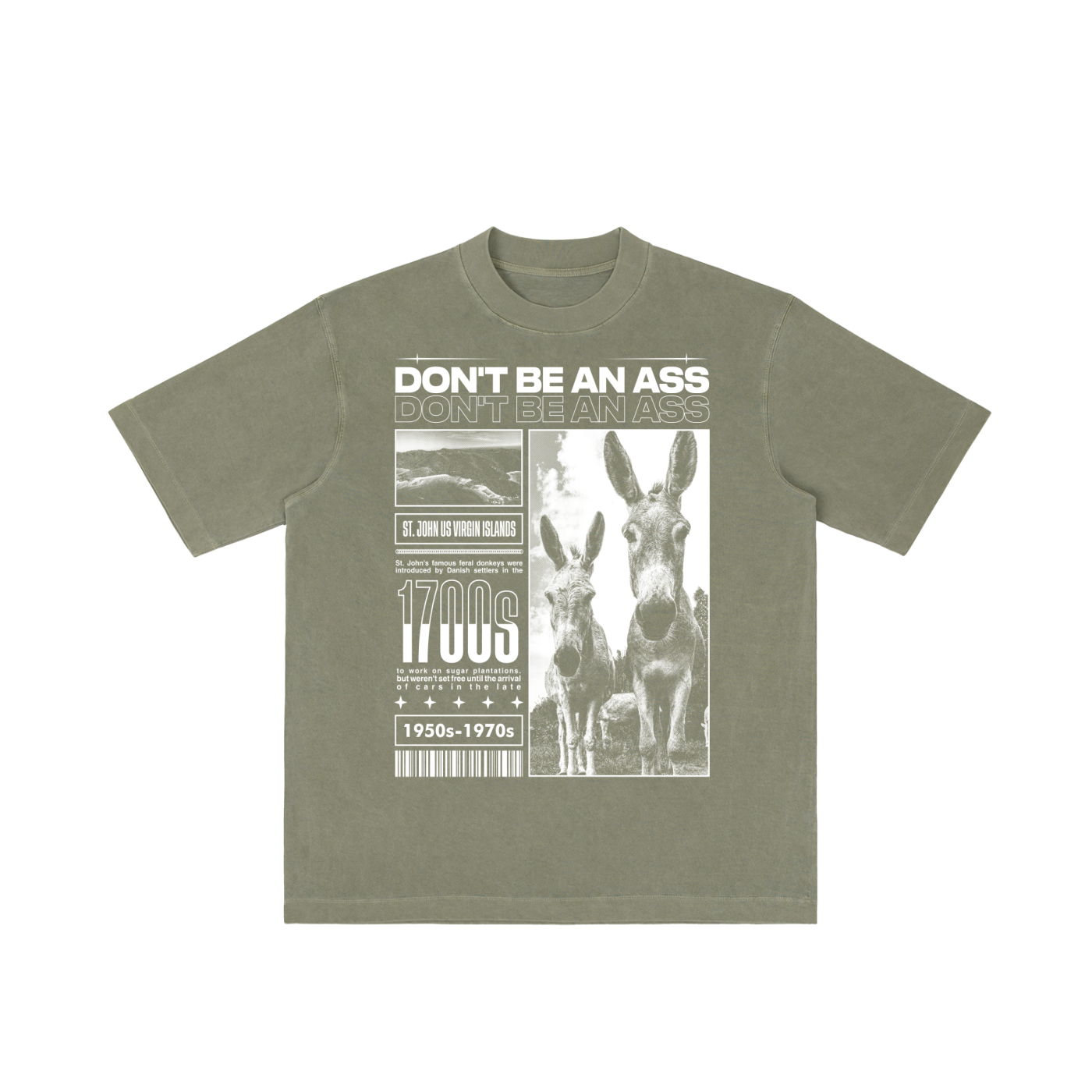 DON'T BE AN ASS (Oversized Tee)