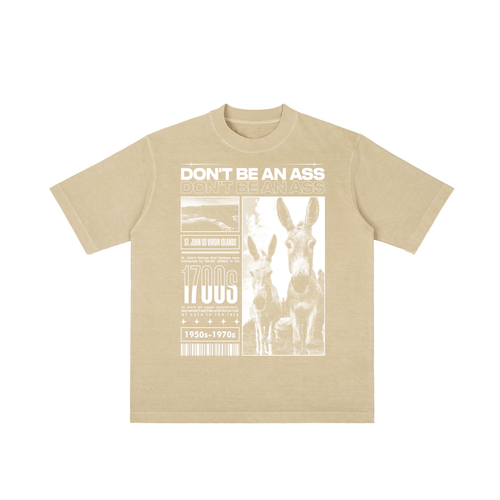 DON'T BE AN ASS (Oversized Tee)